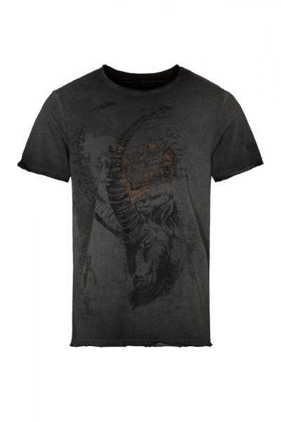 T-Shirt Almerich, grau